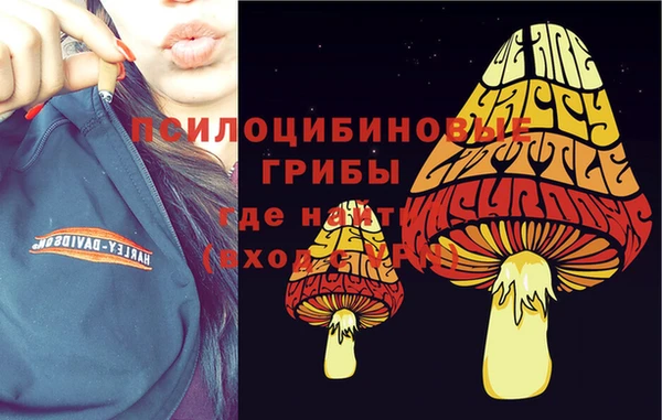 а пвп мука Аркадак